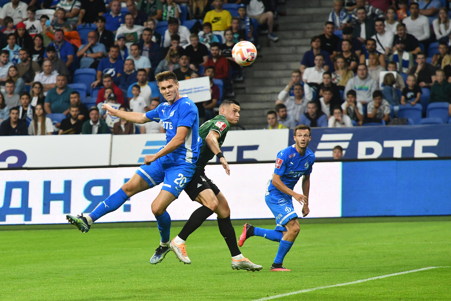 gallery-photo