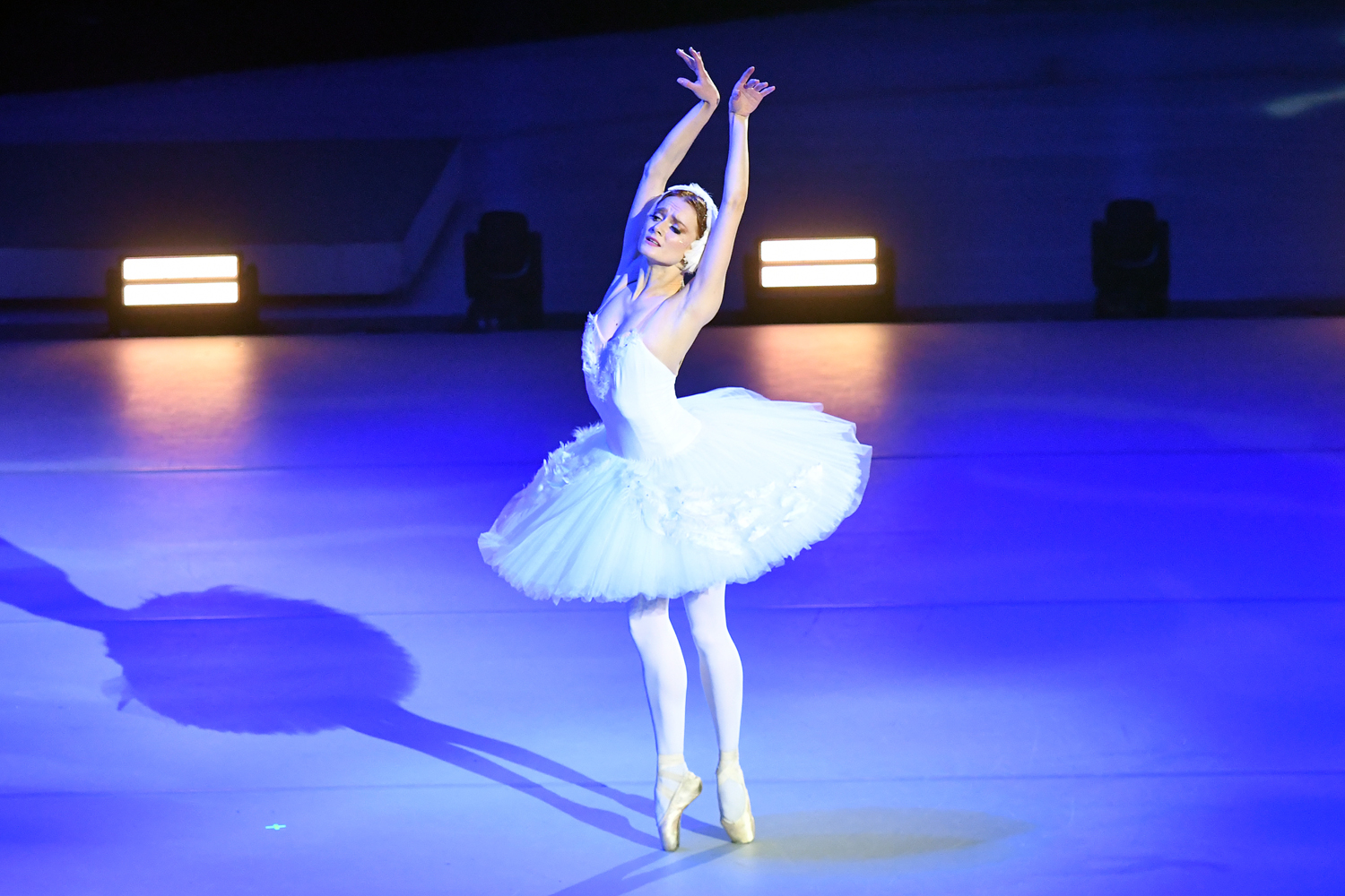 gallery-photo