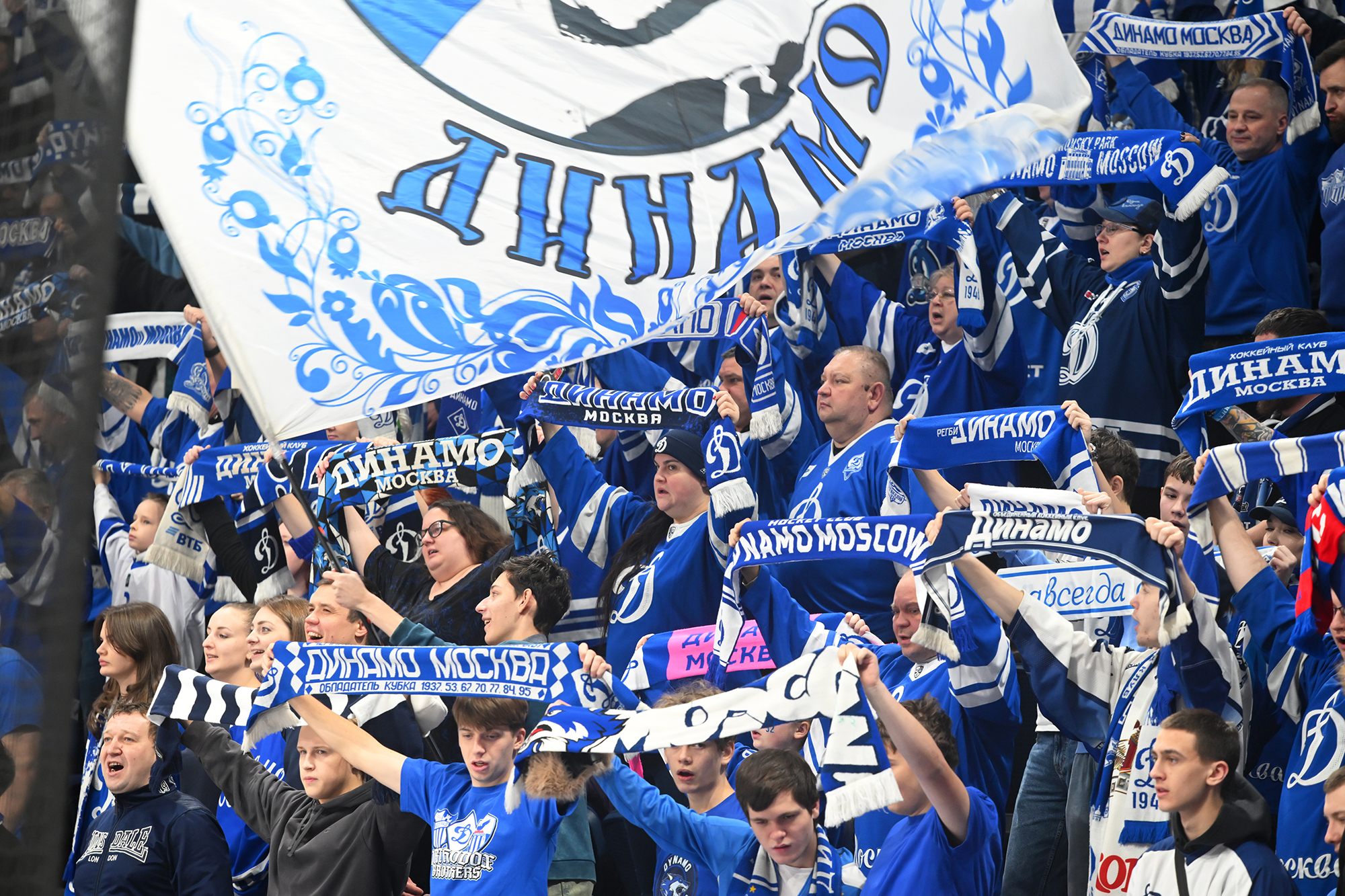 gallery-photo