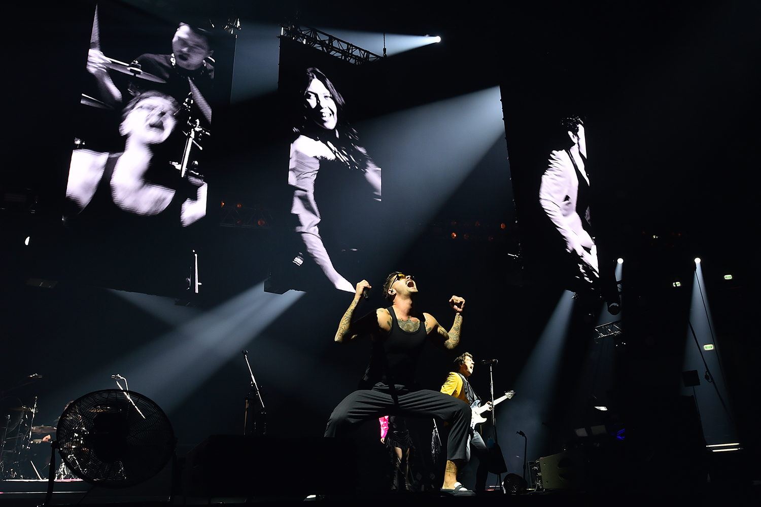 gallery-photo