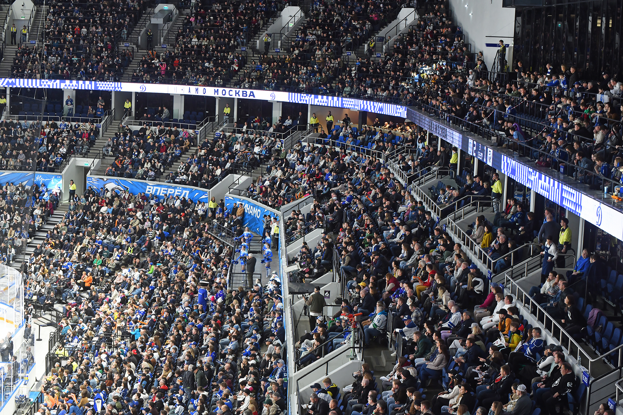 gallery-photo