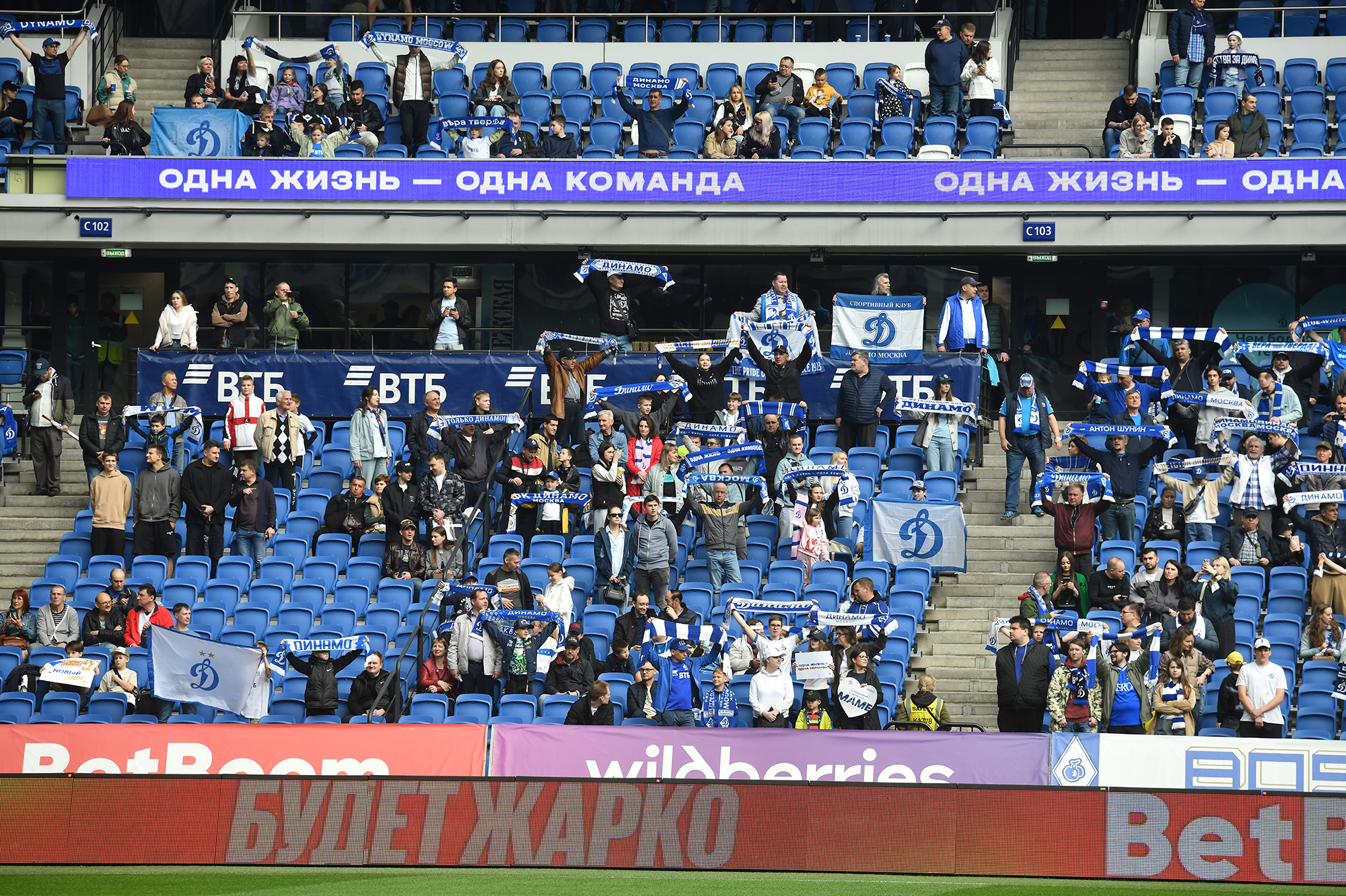 gallery-photo